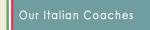 Italian professional football soccer coaches