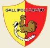 Gallipoli del Salento en Puglia club que participa en el campeonato de futbol Italiano de Serie B, es el segundo campeonato mas importante de Italia y cuenta con muchos entrenadores y jugadores famosos del mundo futbolistico ahora a disposicion de los equipos del mundo entero, entrenadores campeones del mundo para tus seminarios de futbol, entrenadores para tus eventos deportivos y ademas los mejores entrenadores Italianos para realizar seminarios, academias y escuelas de futbol para principiantes ninos o ninas, futbol juvenil femenino, cursos a jugadores profesionales y master class para entrenadores de futbol de ligas y campeonatos de los Estados Unidos, Argentina, Chile, Peru, Ecuador, Colombia, Venezuela, Brazil, Mexico... escuela de futbol Italiano